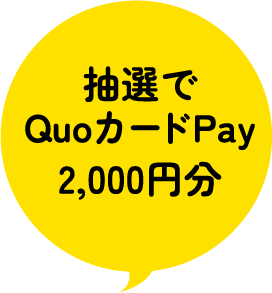抽選でQuoカードPay2,000円分